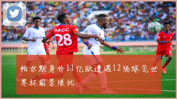 帕尔默身价11亿欧遭遇12场球荒世界杯前景堪忧
